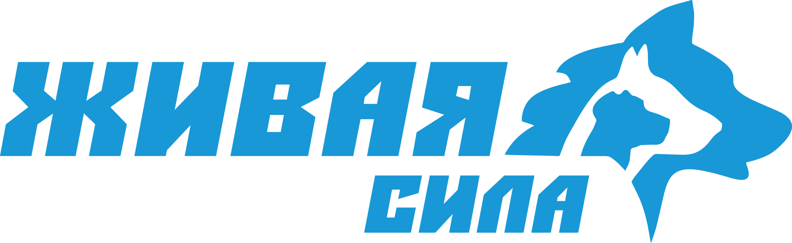 Корма Живая Сила в Томске